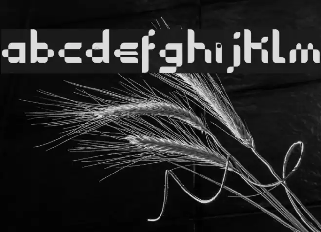 COMIC CIRCUIT Font examples