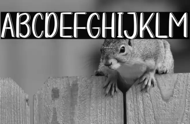 COMICS CARTOON Font examples