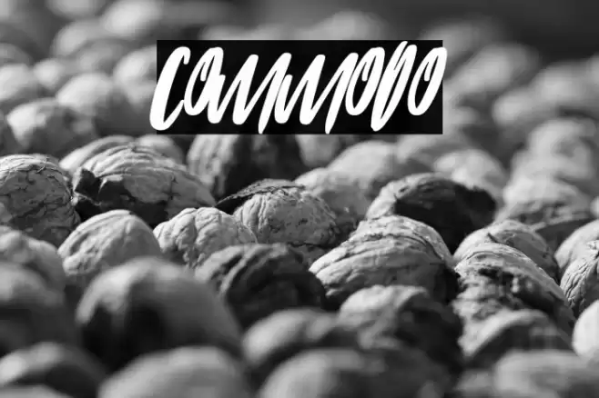 COMMODO フォント examples