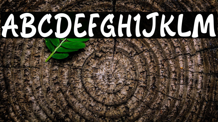 COMODO DRAGON Example 3