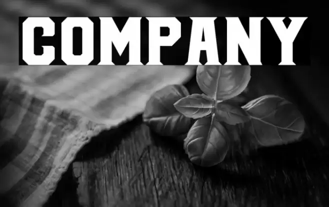 COMPANY Font examples