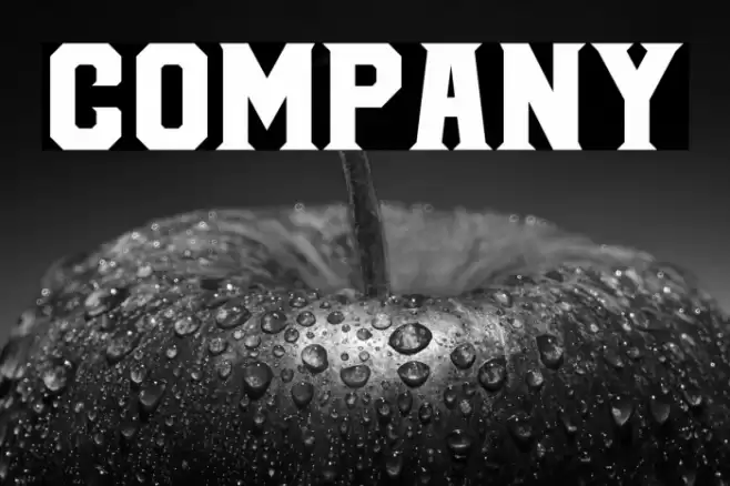 COMPANY Font examples