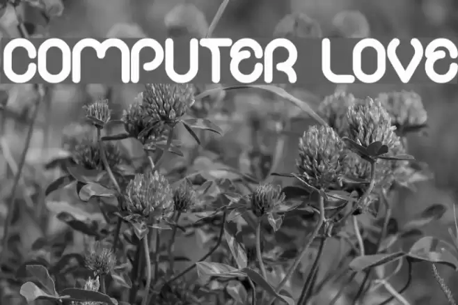COMPUTER LOVE Font examples