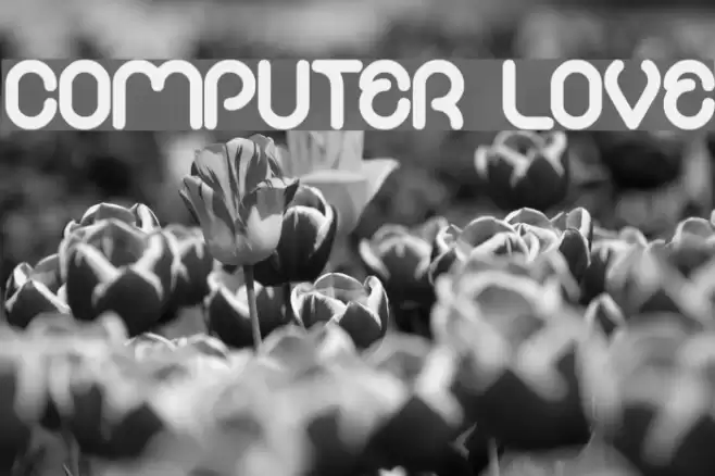 COMPUTER LOVE Font examples