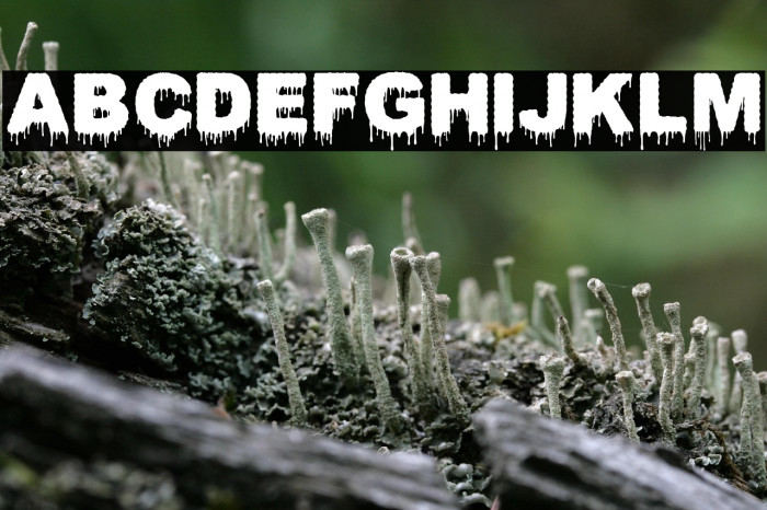 CONFLICT DRIPS PERSONAL USE Bold Example 2