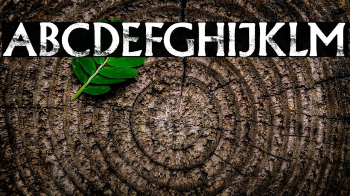 CONFORMITY PERSONAL USE Regular Example 2