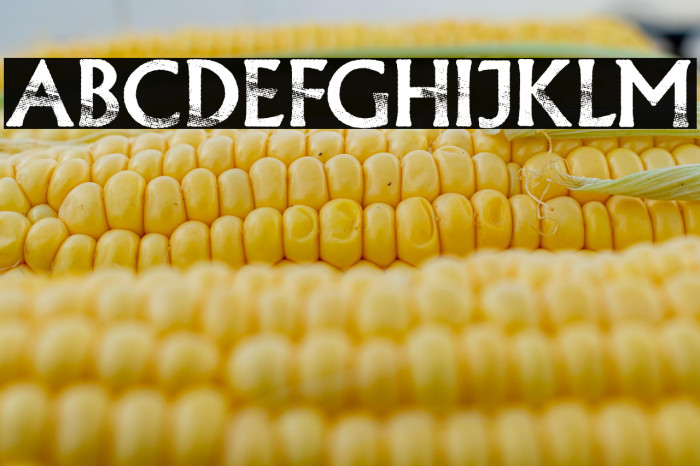 CONFORMITY PERSONAL USE Regular Example 3