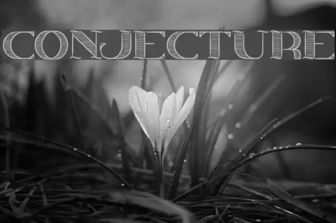 CONJECTURE Font examples