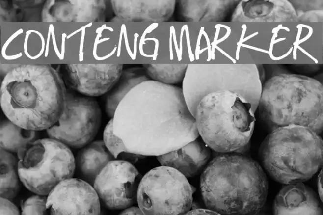 CONTENG MARKER Font examples