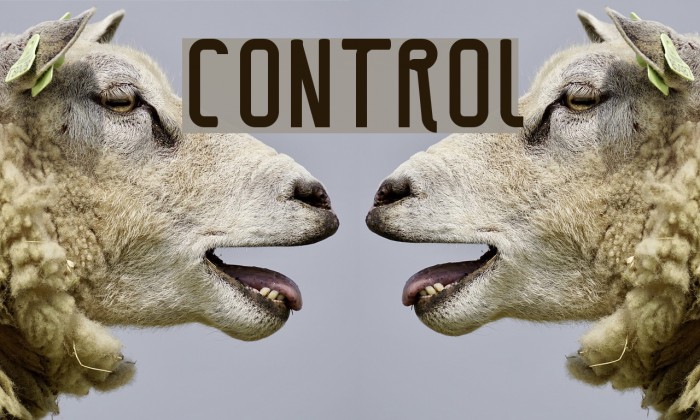 CONTROL Schriftart examples
