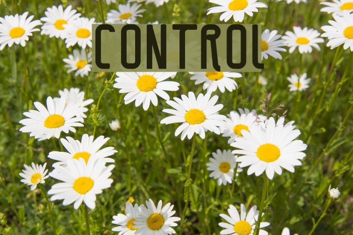 CONTROL Schriftart examples
