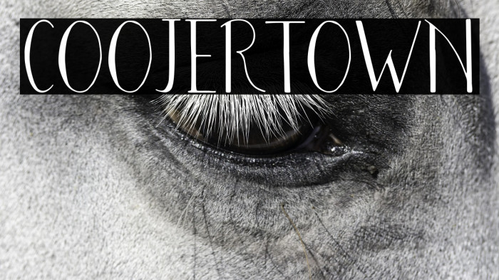 COOJERTOWN Example 2