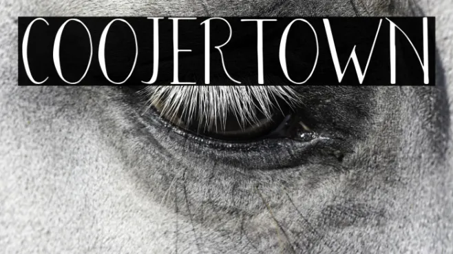 COOJERTOWN Example 2