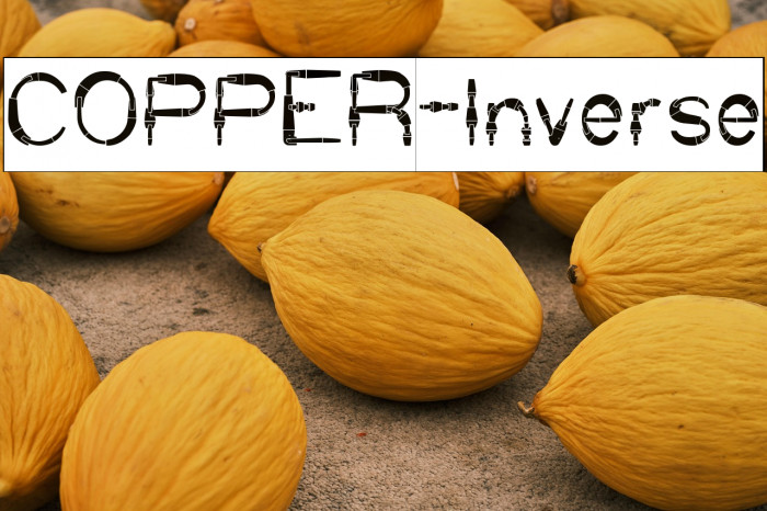 COPPER-Inverse Example 1