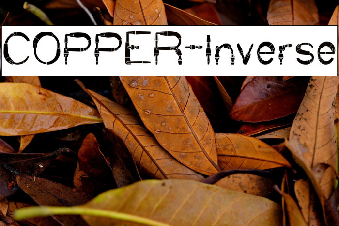 COPPER-Inverse Example 2