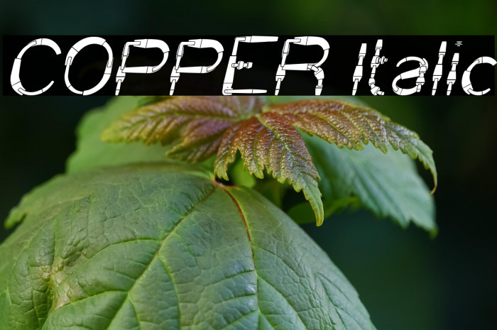 COPPER Italic Example 1