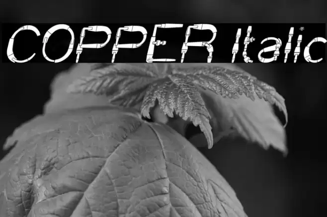 COPPER Italic Font examples