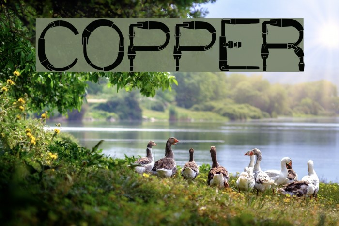 COPPER Font examples