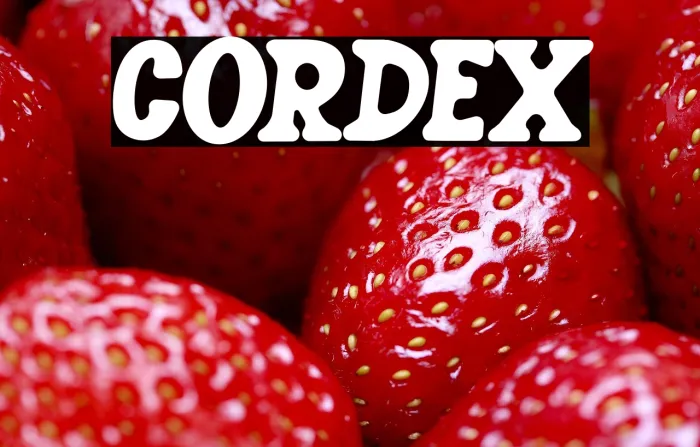 CORDEX Example 1