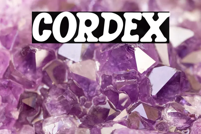 CORDEX Example 2