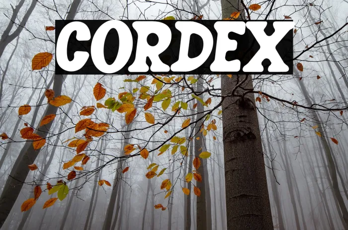 CORDEX Example 3
