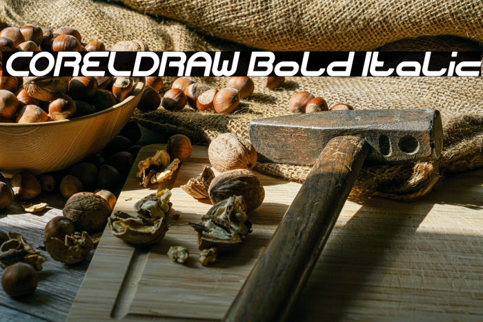 CORELDRAW Bold Italic Example 3