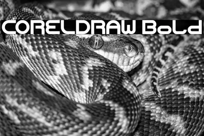 CORELDRAW Bold Font examples