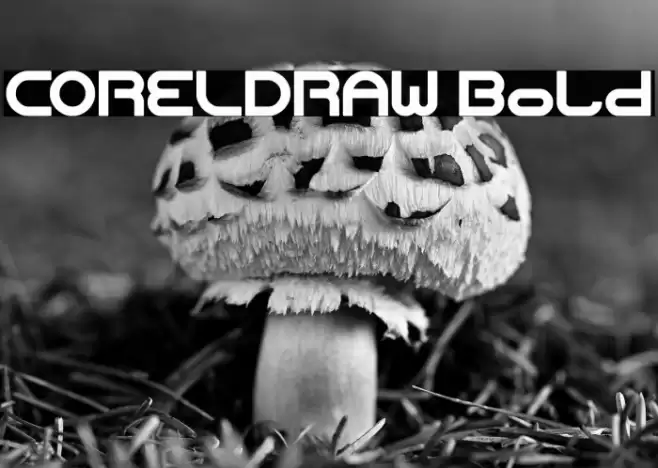 CORELDRAW Bold Font examples