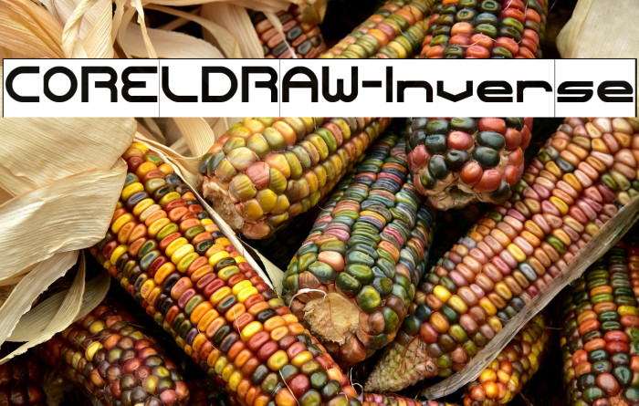 CORELDRAW-Inverse Example 3