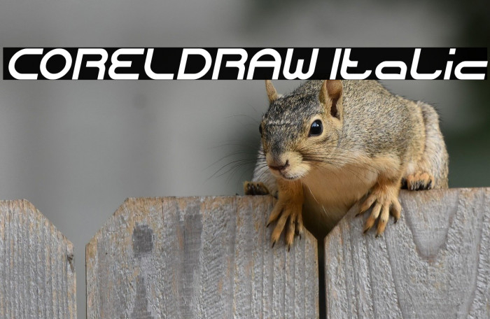 CORELDRAW Italic Example 1