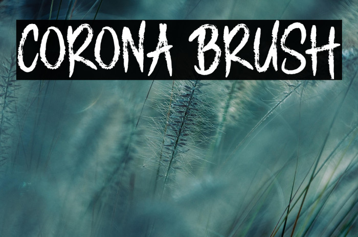 CORONA BRUSH Example 2