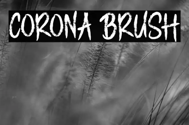 CORONA BRUSH Font examples