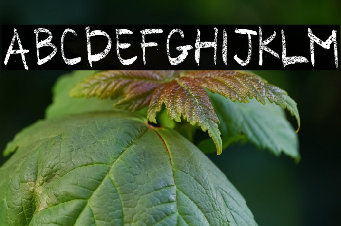 CORONA COVID19 Example 1