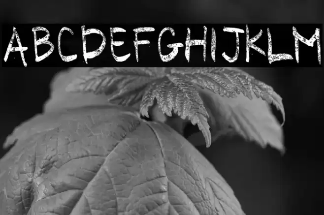 CORONA COVID19 Font examples