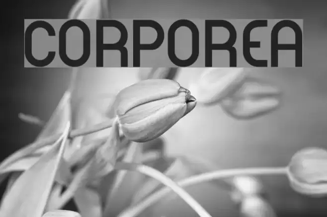CORPOREA Font examples
