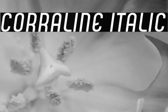 CORRALINE ITALIC Font examples