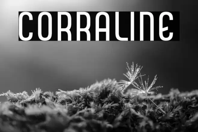 CORRALINE Font examples