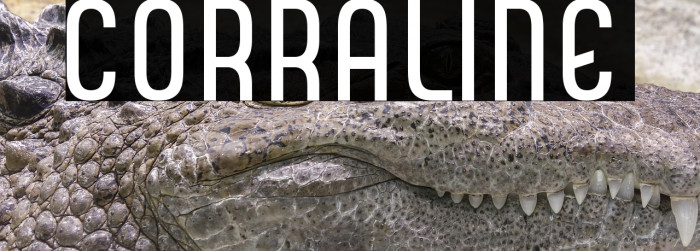 CORRALINE Example 3
