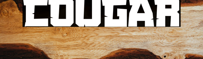 COUGAR Example 1
