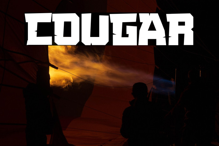 COUGAR Example 2