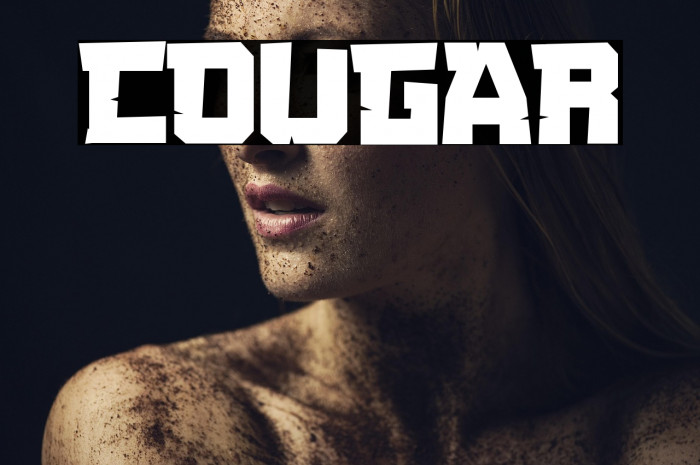COUGAR Example 3