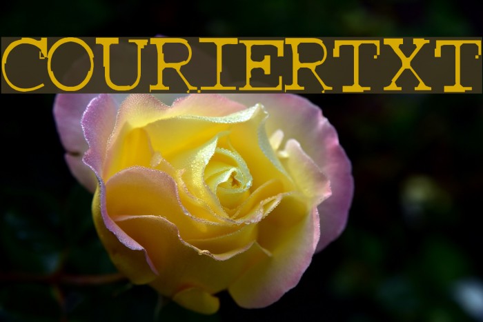 COURIERTXT Schriftart examples