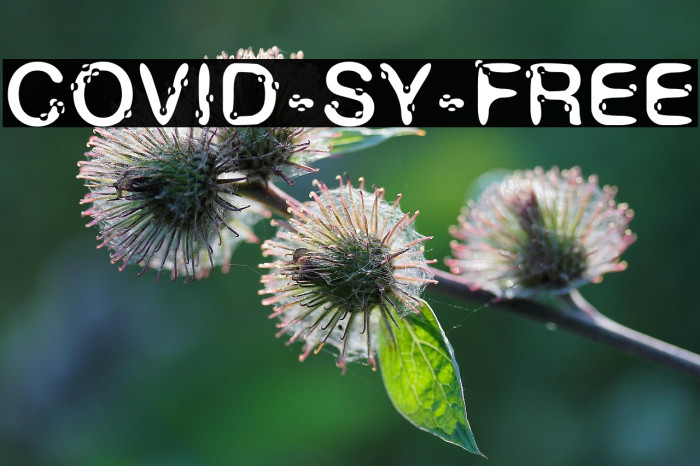 COVID-SY-FREE Example 1