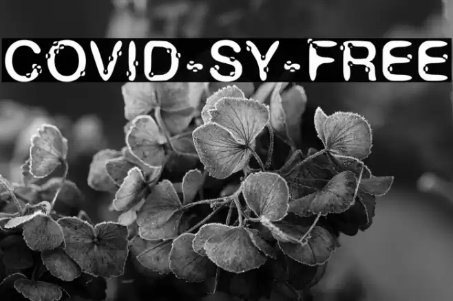 COVID-SY-FREE Font examples