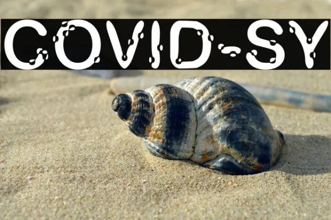 COVID-SY Example 1