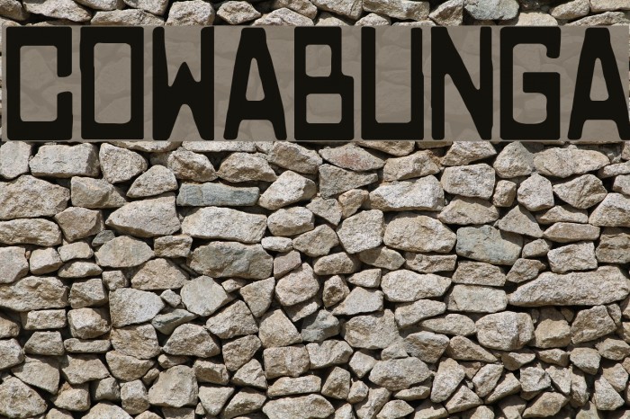 COWABUNGA Font examples