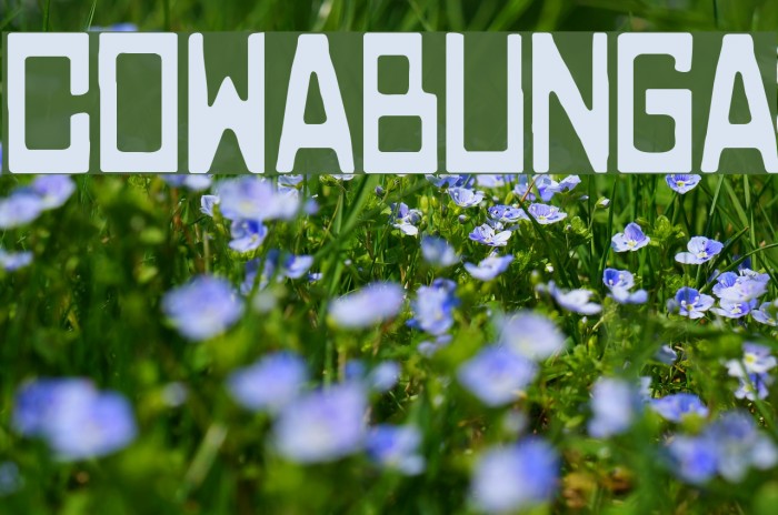 COWABUNGA Font examples