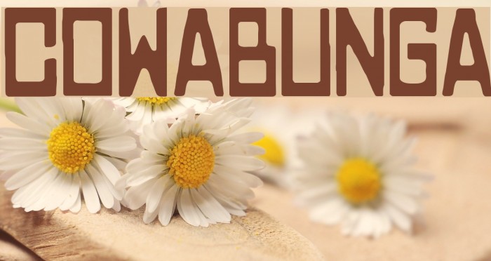 COWABUNGA Font examples