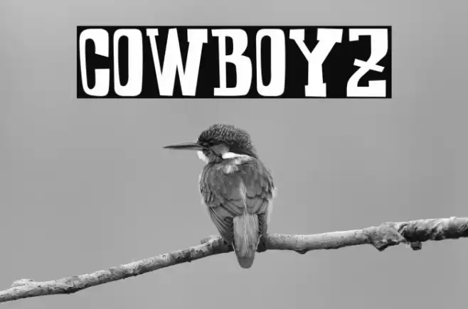 COWBOYZ Font examples