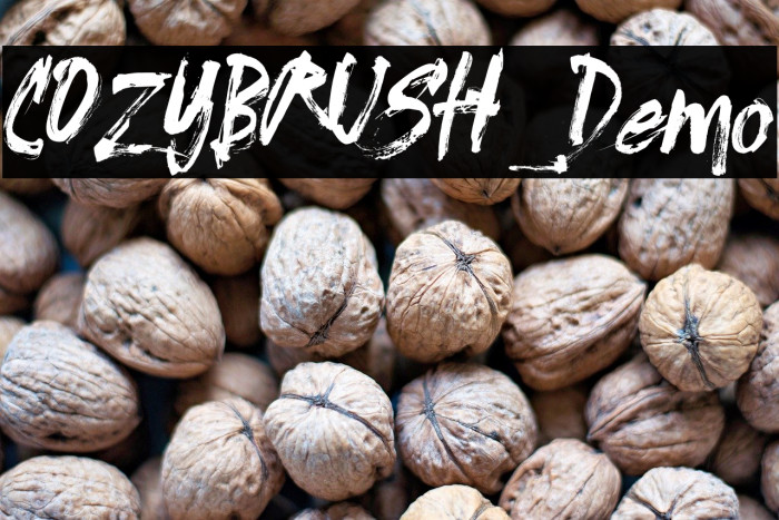 COZYBRUSH_Demo Example 3